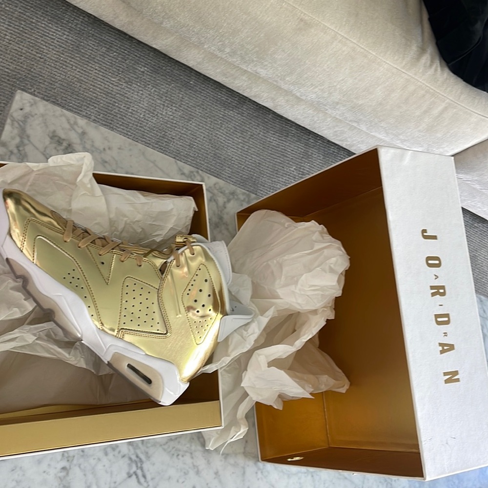 The Air Jordan 6 Retro Pinnacle sneaker NWT